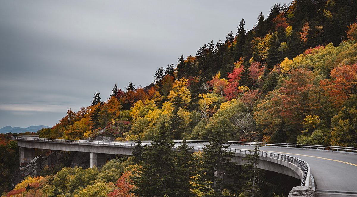 36fdb1a35cd2f54f95cf2119fb5bc7ed Blog - Haywood Christian Academy